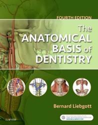 The Anatomical Basis of Dentistry
