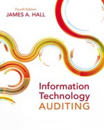 Information Technology Auditing (E-Book)