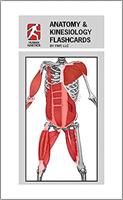 Anatomy and Kinesiology Flashcards