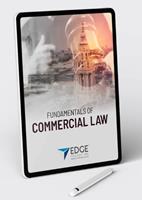 Fundamentals of Commercial Law  (E-Book)