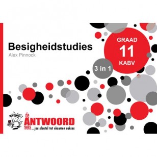 Die Antwoord-Reeks Graad 11 besigheidstudies